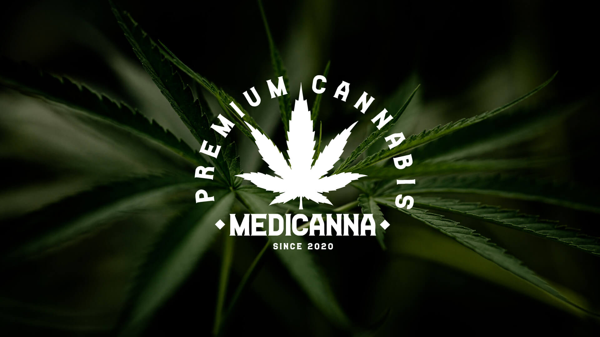 porftolio-medicanna-wideo-promocyjne